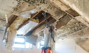 Best Water Damage & Mold Remediation  in USA